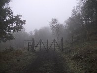 fugio Saletti-20101010 098